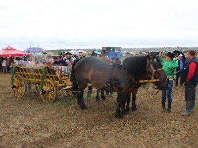 Natjecanje u oranju konjima