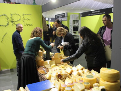 15. Dani mladog maslinovog ulja u Vodnjanu