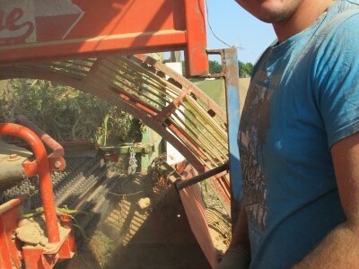 Vinko Raos vidi budućnost u navodnjavanju krumpira