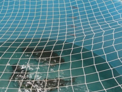 Ribnjačarstvo Poljana