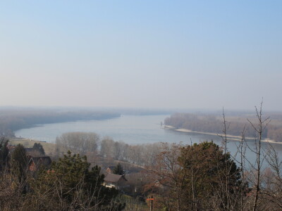 K55 vinarija i destilerija OPG tjedna