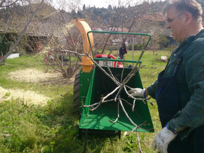Gospodin Dane sjecka  odrezane grane Gospodin Dane sjecka  odrezane grane