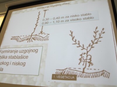Bjelovarsko-bilogorska županija prednjači u uzgoju lijeske