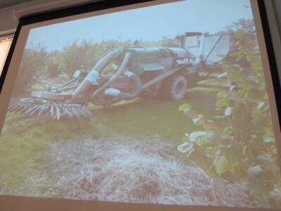 Bjelovarsko-bilogorska županija prednjači u uzgoju lijeske