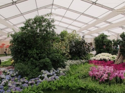 Floraart 2015 na Bundeku!