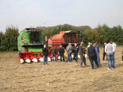 Pioneer dani polja kukuruza