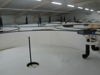 Ribnjačarstvo Poljana