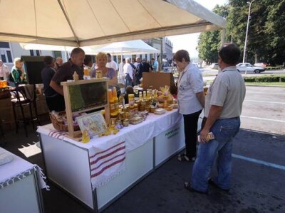 Med, pčele i pčelinji proizvodi -  Pemper Anica; Virovitica