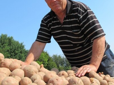 Vinko Raos vidi budućnost u navodnjavanju krumpira