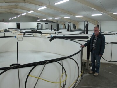 Ribnjačarstvo Poljana