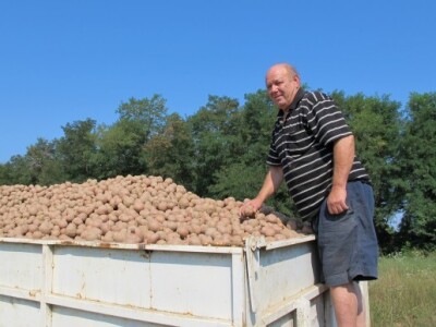 Vinko Raos vidi budućnost u navodnjavanju krumpira