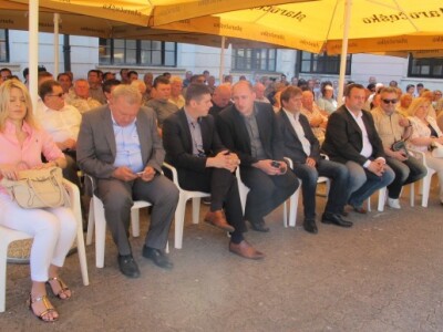 Kvalitetom vina ćemo se razlikovati od drugih europskih zemalja