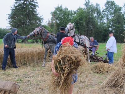 Dvodnevna manifestacija Češke žetvene svečanosti-dožinki Dvodnevna manifestacija Češke žetvene svečanosti-dožinki