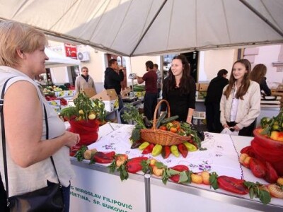 U središtu Virovitice održan Agroexpo