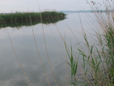 Ribnjačarstvo Poljana