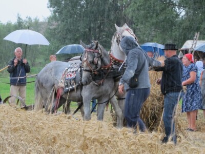 Dvodnevna manifestacija Češke žetvene svečanosti-dožinki Dvodnevna manifestacija Češke žetvene svečanosti-dožinki