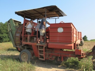Vinko Raos vidi budućnost u navodnjavanju krumpira