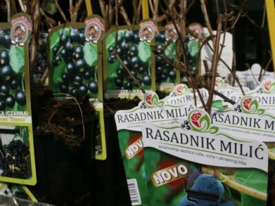 Izložbeni prostor rasadnik Milić