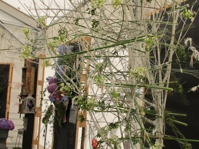 Floraart 2015 na Bundeku!