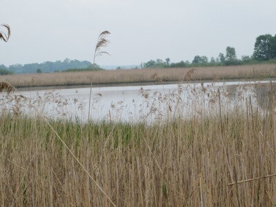 Ribnjačarstvo Poljana