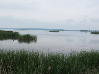 Ribnjačarstvo Poljana