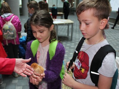 Festival znanosti FAZOS