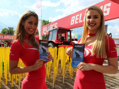 Adi Dizel promoterke