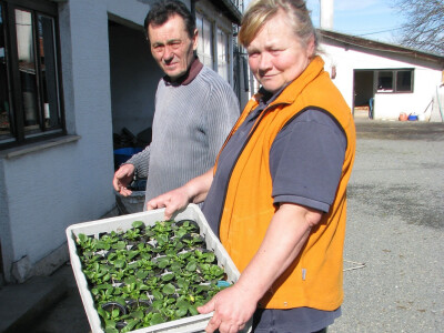 ne mogu bez cvijeća