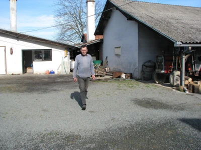 Božo u dvorištu