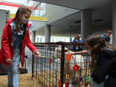 Festival znanosti FAZOS