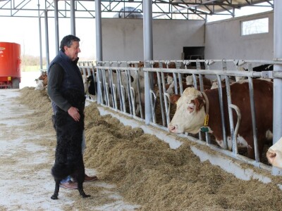 Farma obitelji Uglješić