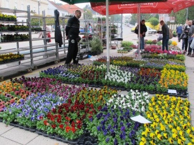 Drugi Daruvarski cvjetni sajam