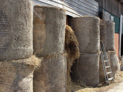 Farma obitelji Uglješić