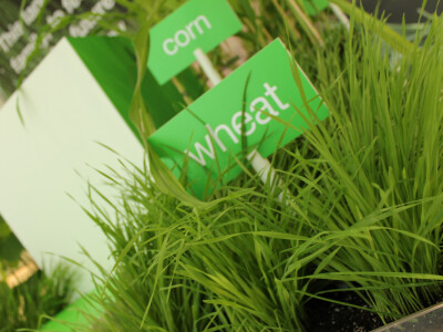 Konferencija BASF-ova sektora Zaštite bilja