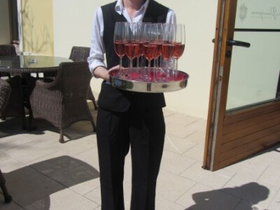 Agrarni novinari iz Novog Sada u poseti Iločkom podrumu