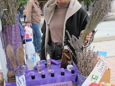 Drugi Daruvarski cvjetni sajam