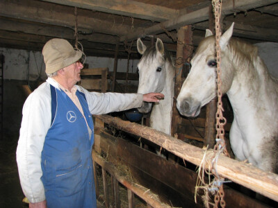 Jovan sa lipicancima Jovan sa lipicancima