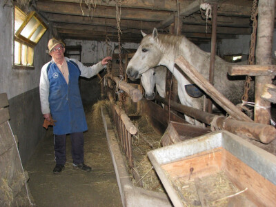 Jovan pored svojih konja Jovan pored svojih konja