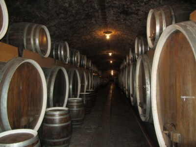 Agrarni novinari iz Novog Sada u poseti Iločkom podrumu