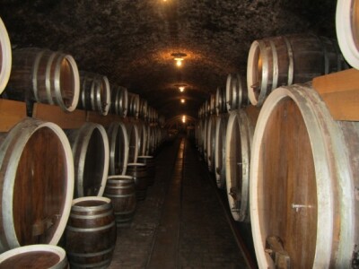 Agrarni novinari iz Novog Sada u poseti Iločkom podrumu