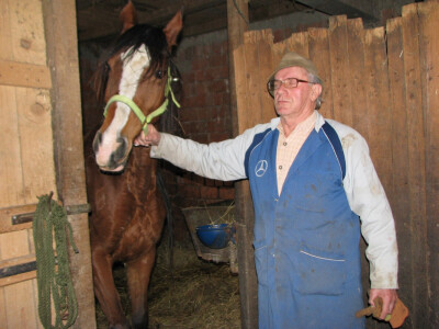 Jovan pored kobile arapske rase Jovan pored kobile arapske rase