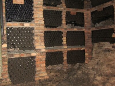 Agrarni novinari iz Novog Sada u poseti Iločkom podrumu