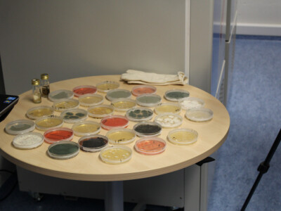 Konferencija BASF-ova sektora Zaštite bilja