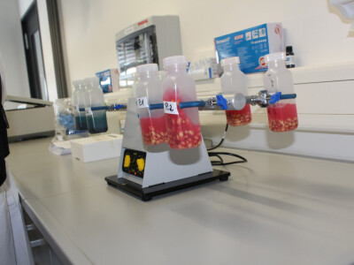 Snažan rast BASF-ovog sektora Zaštite bilja!