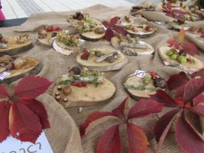 Drugi Daruvarski cvjetni sajam