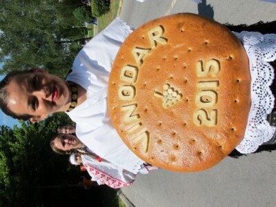 Pučka fešta i sajam, uključujući koncerte grupa Vatra, Opća opasnost i Begini su se održavali tokom vikenda