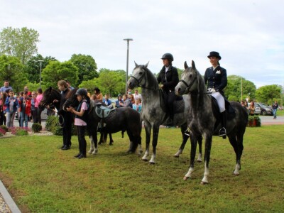 Festival znanosti FAZOS
