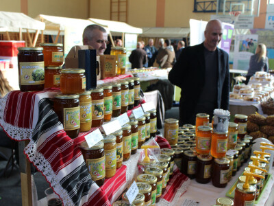 Brojne vrste meda iz Slavonije