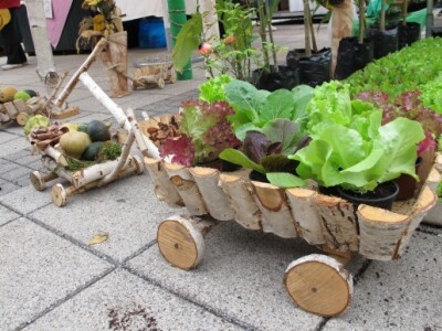 Drugi Daruvarski cvjetni sajam