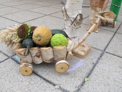 Drugi Daruvarski cvjetni sajam